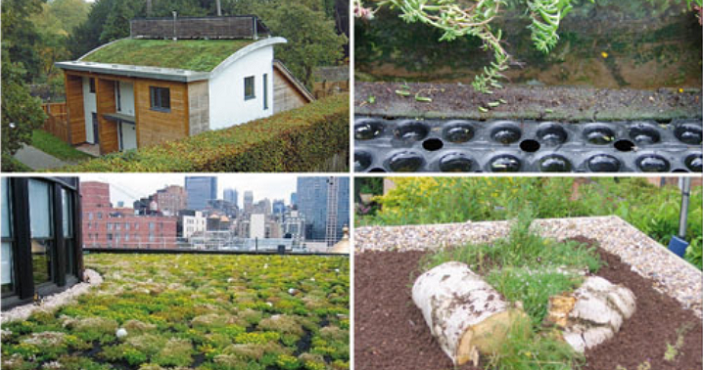 Green Roof Installations | Permaroof Kent